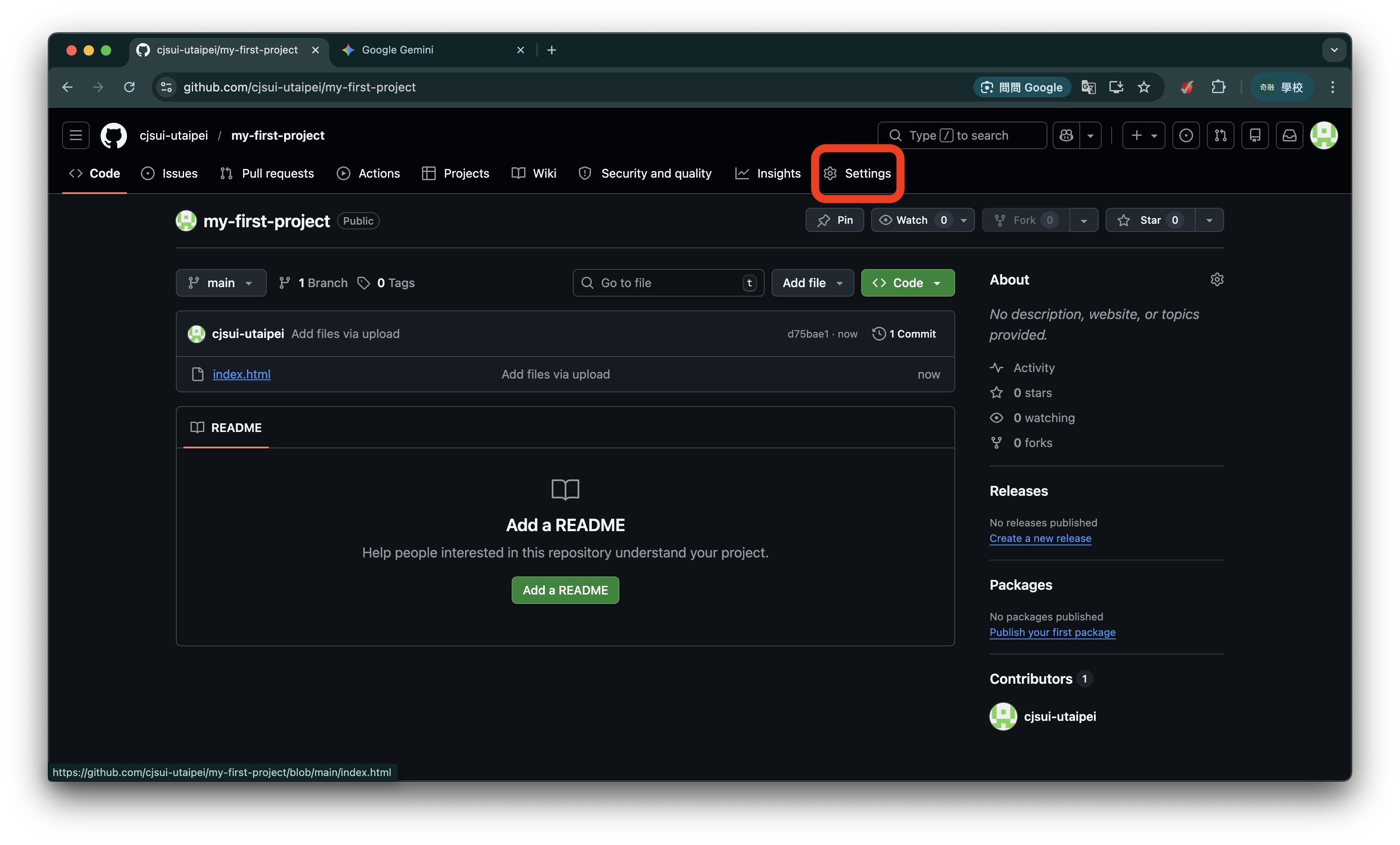 GitHub Settings
